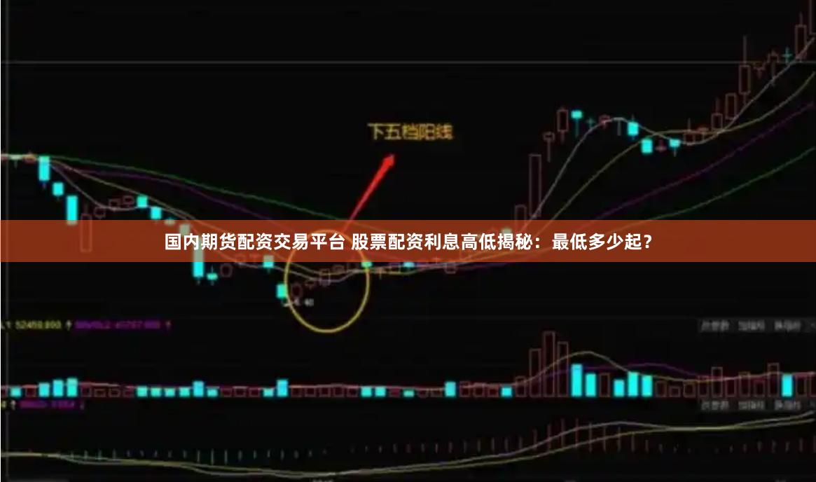 国内期货配资交易平台 股票配资利息高低揭秘：最低多少起？