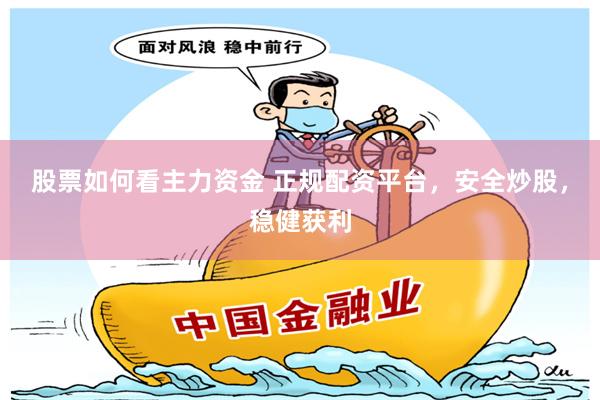 股票如何看主力资金 正规配资平台，安全炒股，稳健获利
